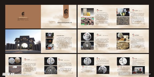 茶韻盡顯 專(zhuān)業(yè)茶葉產(chǎn)品畫(huà)冊(cè)設(shè)計(jì)圖代理代辦服務(wù)