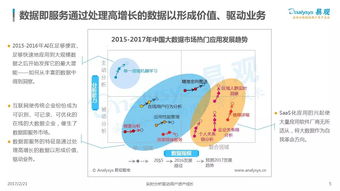 中國(guó)數(shù)據(jù)即服務(wù)（DaaS）市場(chǎng)專(zhuān)題分析 數(shù)據(jù)處理服務(wù)的機(jī)遇、挑戰(zhàn)與未來(lái)